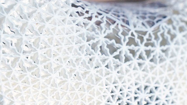 Bioinspired self-tightening splint